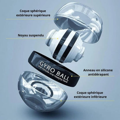 gyro ball - Mon studio fitness